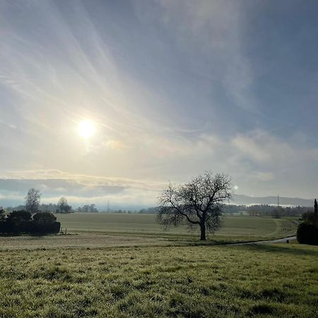 Le Petit Woerthel Villa Wolxheim Buitenkant foto