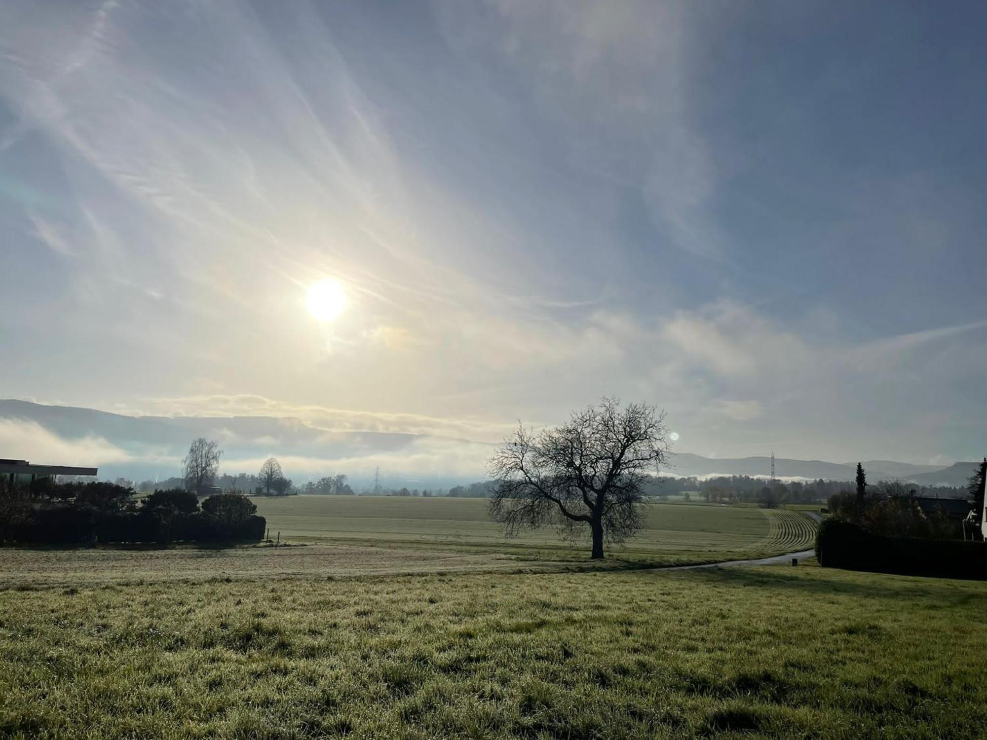 Le Petit Woerthel Villa Wolxheim Buitenkant foto