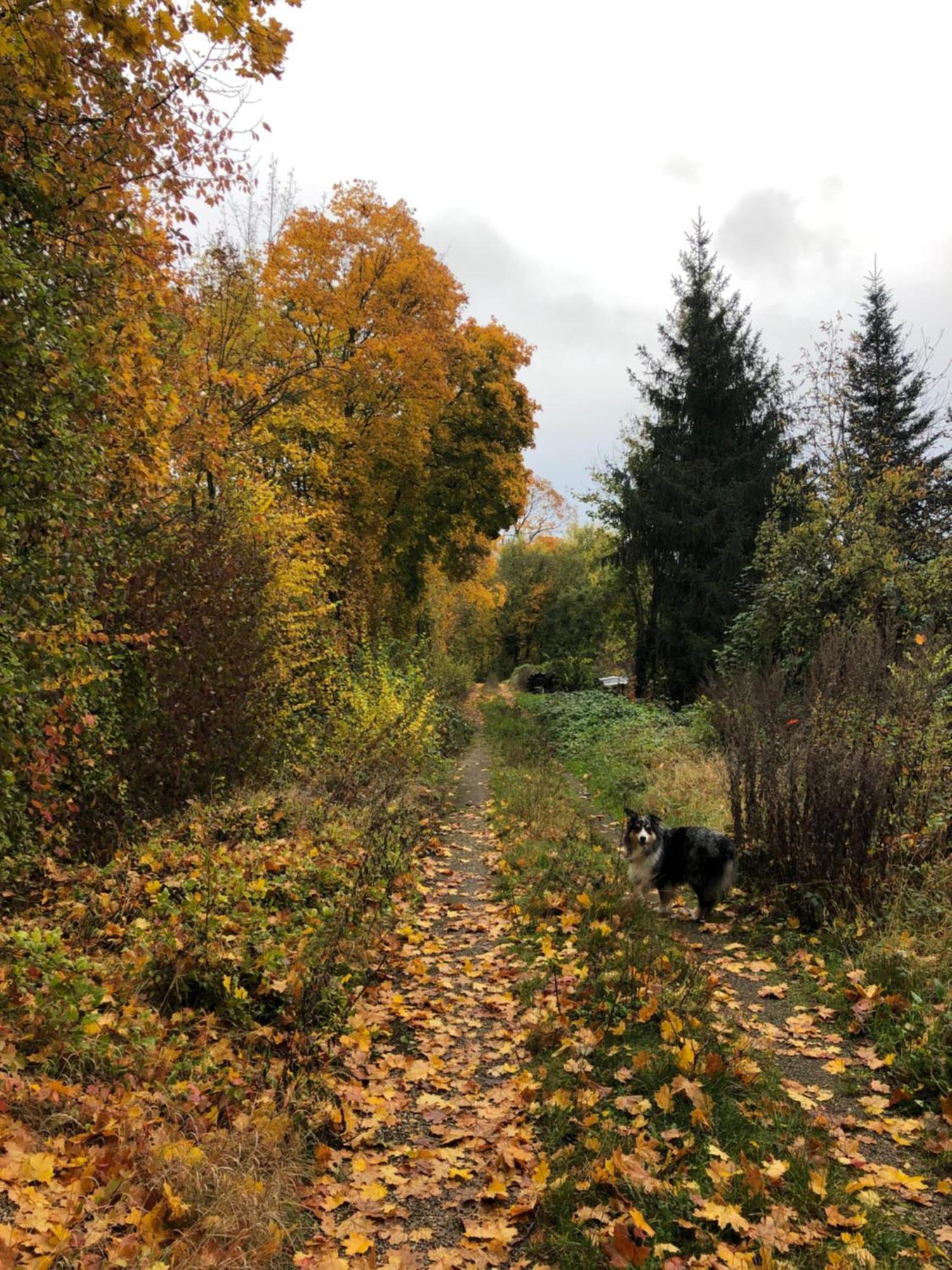 Le Petit Woerthel Villa Wolxheim Buitenkant foto